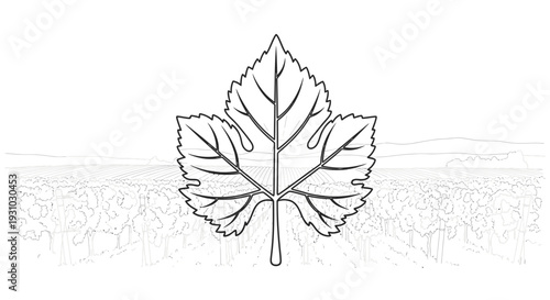 Grape Leaf Silhouette Against Vineyard Landscape Outline