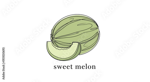 Hand-drawn illustration of a sweet melon with a slice, isolated on white background