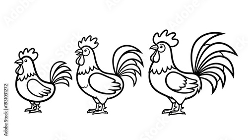 Illustration of three roosters standing together in a farm yard scene from a side viewpoint, as seen in image (1234).ai