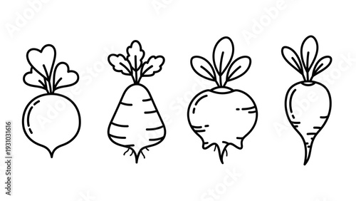 Collection of turnip illustrations in various styles and viewpoints displayed in a row