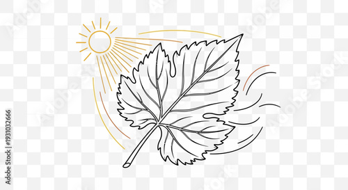 Sunlight and Wind Affecting a Leaf - Line Art Illustration