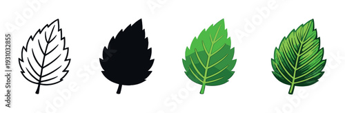 Leaf icons showing color progression on a dark gradient background