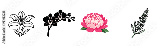 Peony glowing among flower illustrations on dark gradient