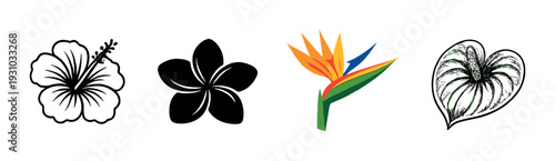 Bird of paradise glowing among floral illustrations on dark gradient