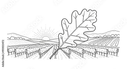 Oak Leaf Over Vineyard Landscape at Sunrise, Black and White Line Art