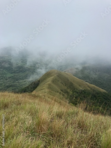 Foggy morning in the mountains