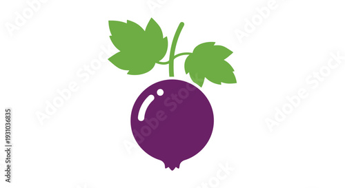 Simple illustration of a vibrant purple radish with green leaves
