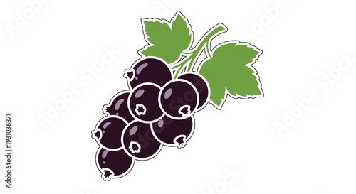 A vibrant illustration of a cluster of ripe blackcurrants with green leaves