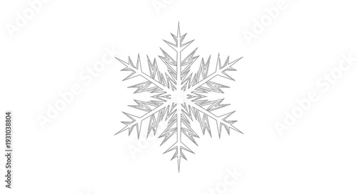 Intricate Snowflake Design - Winter Season Icon