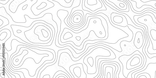 Abstract Topographic Line Contour Map Background. Vector Landscape Terrain Texture Grid with Minimalist Elevation Lines for Web, Print, and Tech Design.