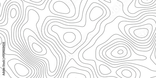 Abstract Topographic Line Contour Map Background. Vector Landscape Terrain Texture Grid with Minimalist Elevation Lines for Web, Print, and Tech Design.