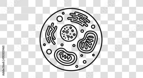 Cell Biology Icon: Animal Cell Diagram with Organelles, Scientific Illustration