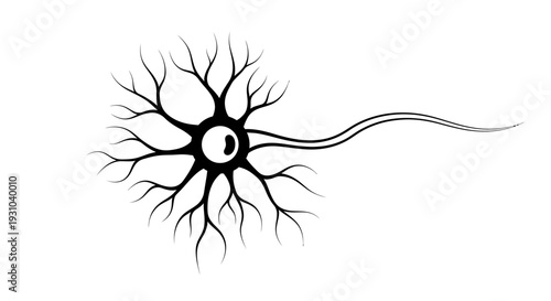 Neuron Cell Illustration - Black and White Scientific Diagram of Nervous System