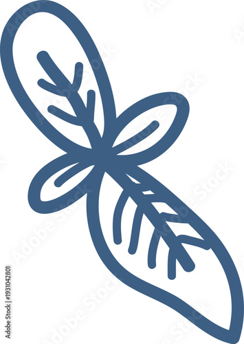 Basil Leaf Outline Sketch