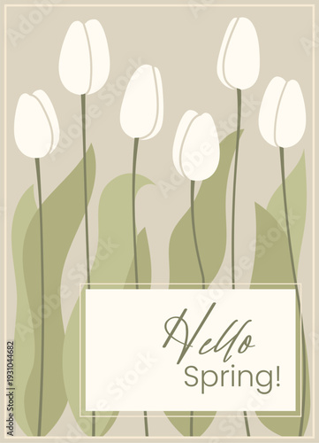 Tulip Greeting Card Spring