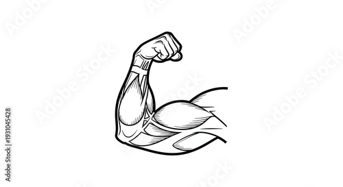 Strong Bicep Muscle Flexing Arm Anatomy Illustration