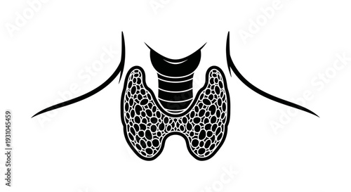 Thyroid Gland Anatomy Illustration - Medical Diagram