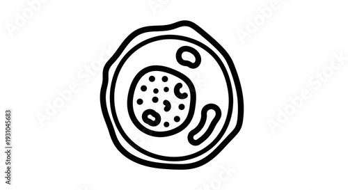 Hand-drawn illustration of a single cell with nucleus and organelles, isolated on white background.