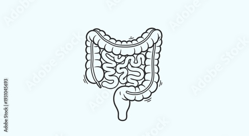 Hand-drawn illustration of human intestines and colon, digestive system anatomy icon