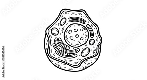 Hand-drawn illustration of an animal cell, showing nucleus, mitochondria, and endoplasmic reticulum.