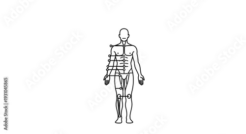 Human Anatomy Diagram with Connected Lines and Nodes