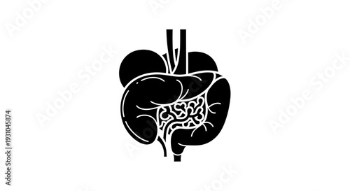 Human Digestive System Anatomy Icon, Silhouette of Intestines and Stomach, Medical Concept