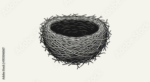 Empty Bird Nest Illustration, Natural Twigs, Organic Home, Wildlife Habitat