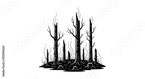 Burnt Forest Landscape, Dead Trees, Forest Fire Aftermath, Black and White