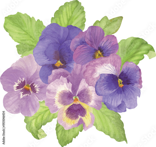 Watercolor Floral Arrangement with Purple Flowers Vector Illustration
