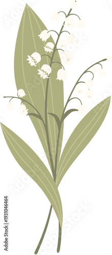 Lily Of The Valley Bouquet Botanical LineArt
