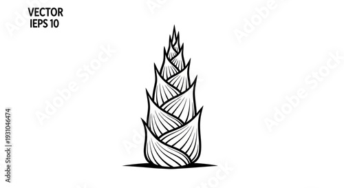 Bamboo Shoot Sprout Bud Growing Plant Food Vegetable Organic Natural Isolated