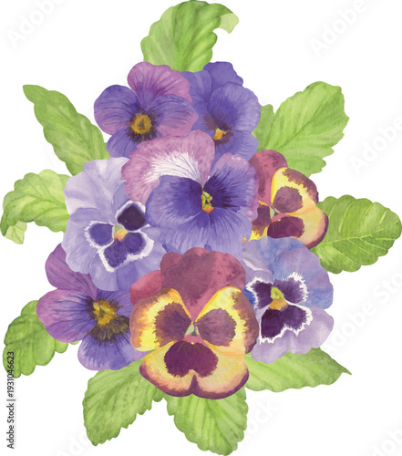 Watercolor Purple Pansy Bouquet with Leaves Vector Illustration