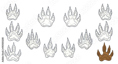 Animal Paw Prints Collection: Diverse Tracks and Footprints on White Background