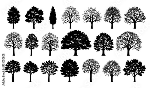 Black Tree Silhouette Vector Set with Seasonal Variations Summer Winter Autumn Spring Isolated on White