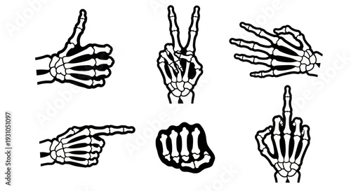 Skeleton Hand Gestures: Thumbs Up, Peace, Pointing, Fist, Middle Finger, Open Hand