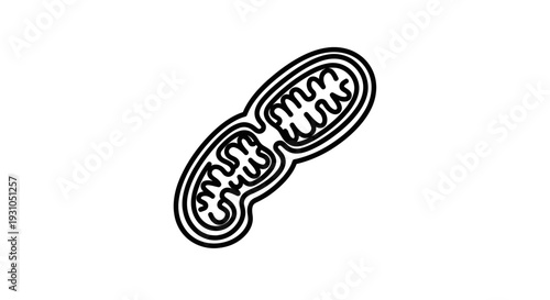 Mitochondrion Cell Organelle, Powerhouse of the Cell, Biology Science Icon