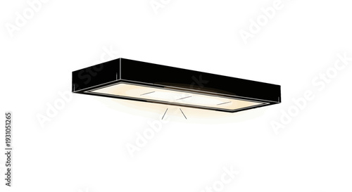 Modern Black Rectangular Ceiling Light Fixture with Warm Illumination