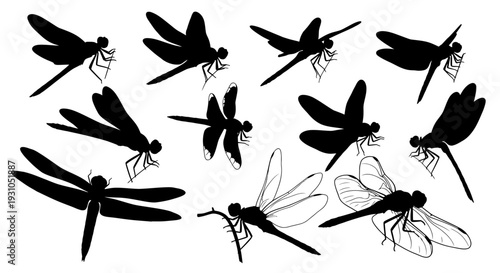Dragonfly Silhouettes Collection: Various Poses and Flight Styles