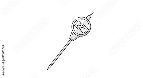 Digital Thermometer with Probe Measuring Temperature 22 Degrees Celsius