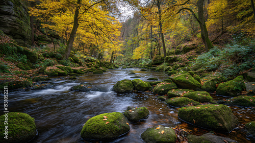 Serene river flowing through lush autumn forest with vibrant foliage