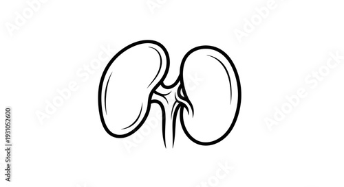 Kidney icon, medical symbol, organ drawing, black and white line art