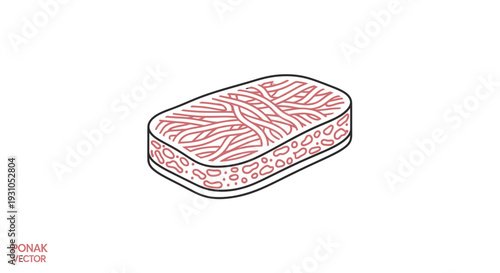 Hand Drawn Illustration of a Rectangular Sponge with Red Fibers