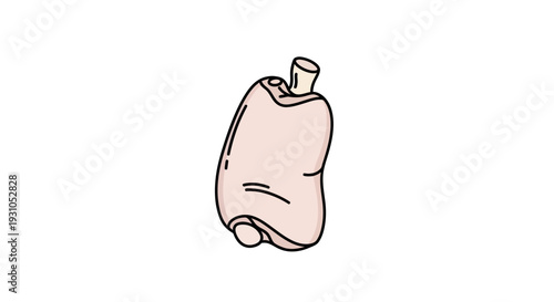 Hand-drawn illustration of a pig's trotter, isolated on white background