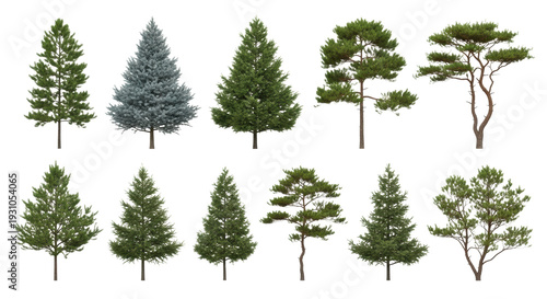 Ten distinct photorealistic pine trees (scots, spruce, fir) in varied sizes, showing lush green needles and brown bark, isolated on a transparent background, digital asset concept