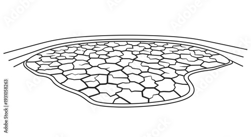 Cracked dry earth texture, drought and arid land surface, abstract pattern