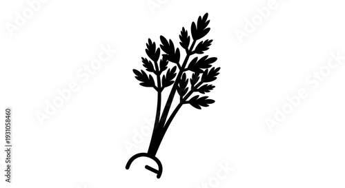 Black and White Silhouette of Parsley Herb Sprig with Root