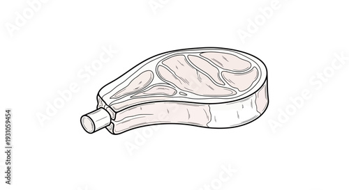 Raw Pork Chop Bone In Isolated On White Background, Top View