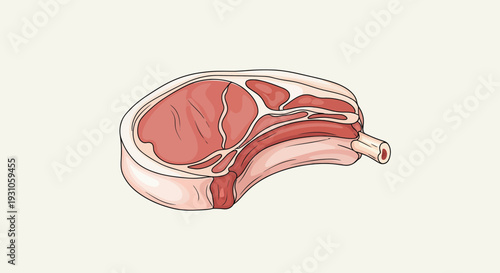 Raw Pork Chop Bone-in Cut Illustration Isolated on Beige Background