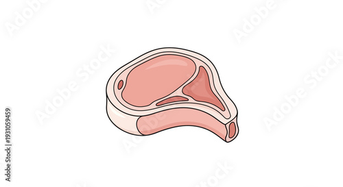 Raw Pork Chop Bone-In Isolated on White Background, Top View