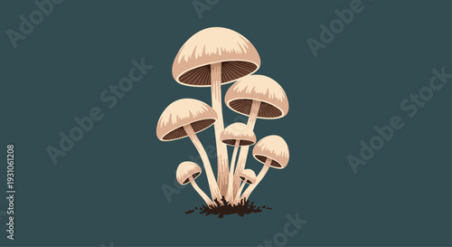 Cluster of wild cream colored mushrooms with delicate gills growing from dark earth against a dark blue background.